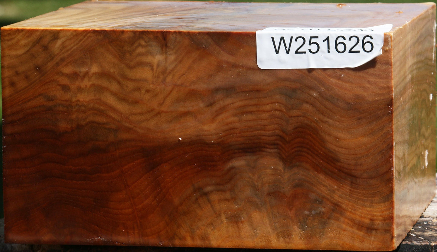 Figured Chinese Elm Bowl Blank