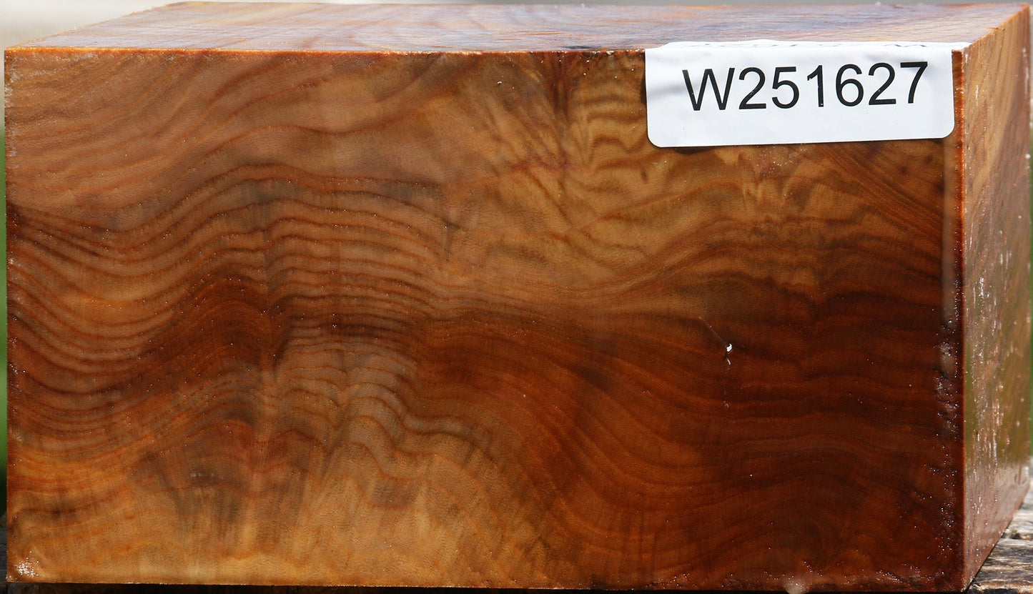 Extra Fancy Chinese Elm Bowl Blank