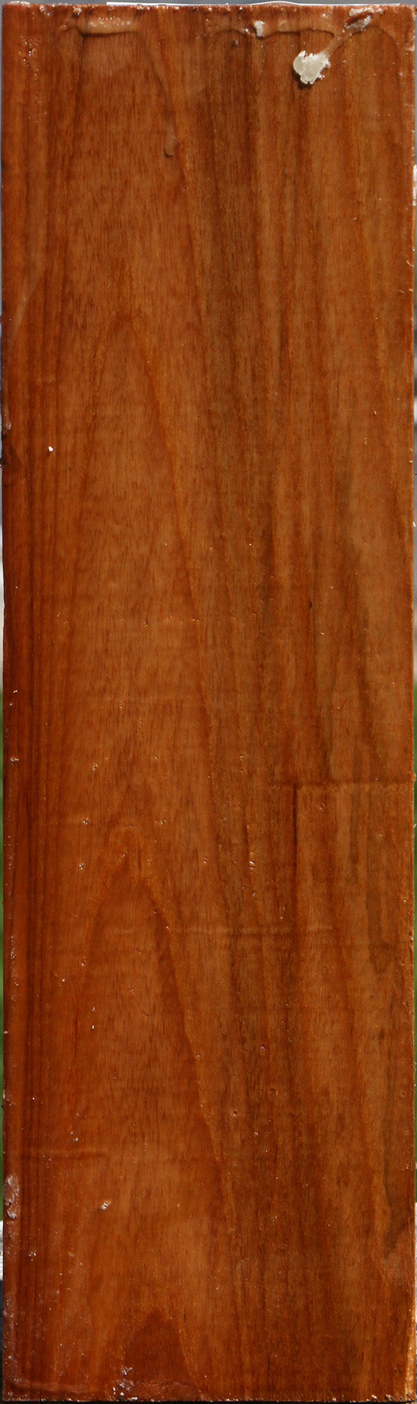 Chinese Elm Peppermill