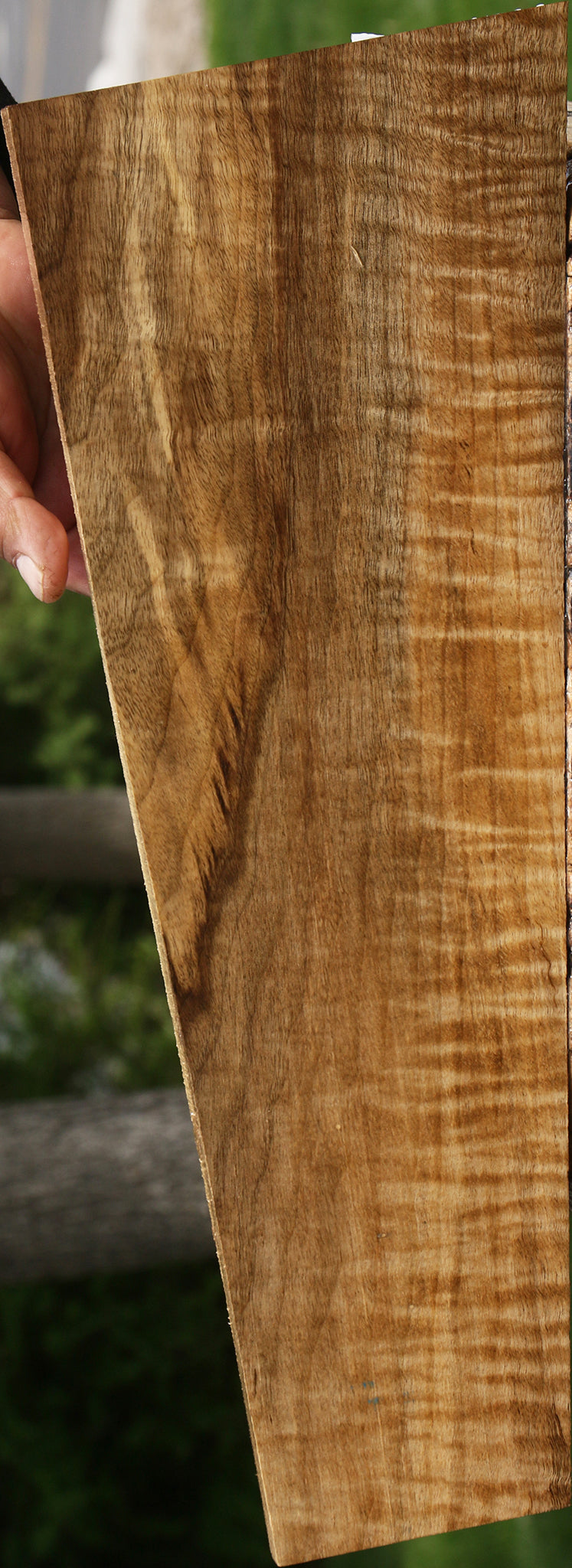 Extra Fancy Myrtle Lumber