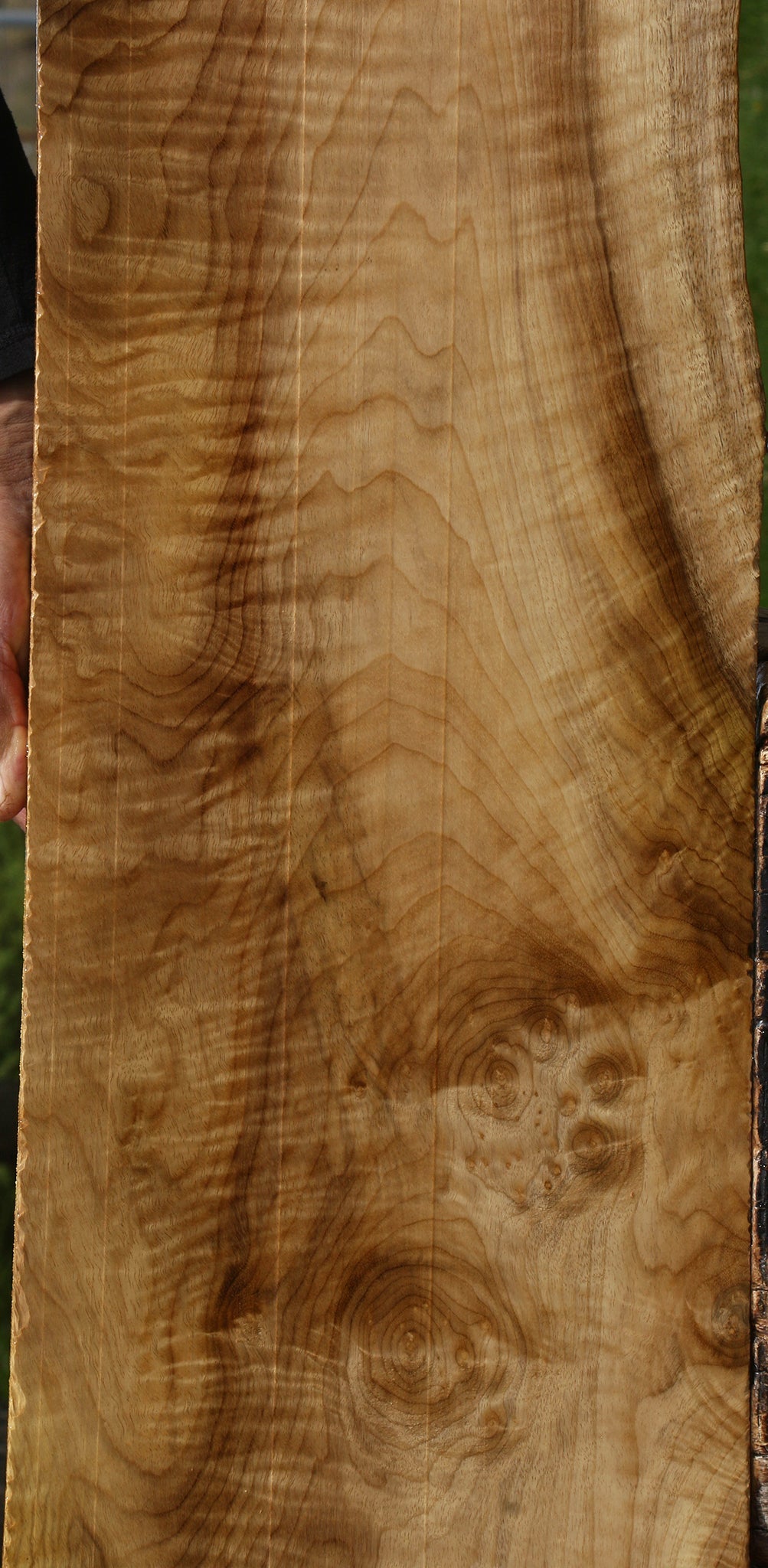 Myrtle Lumber