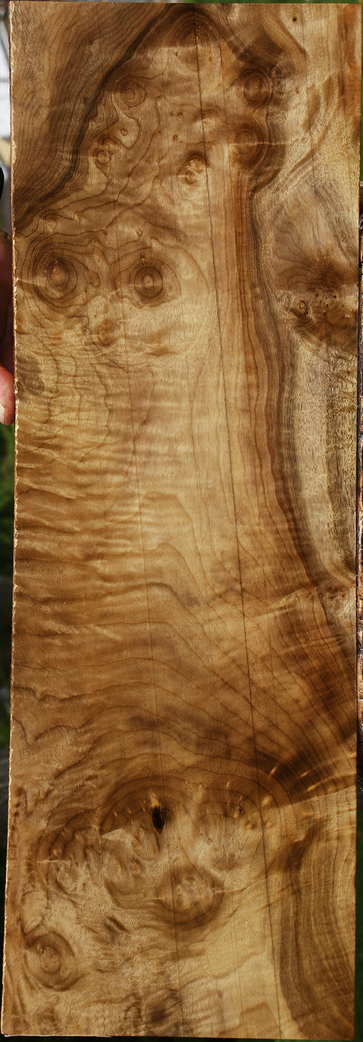 Extra Fancy Myrtle Instrument Lumber