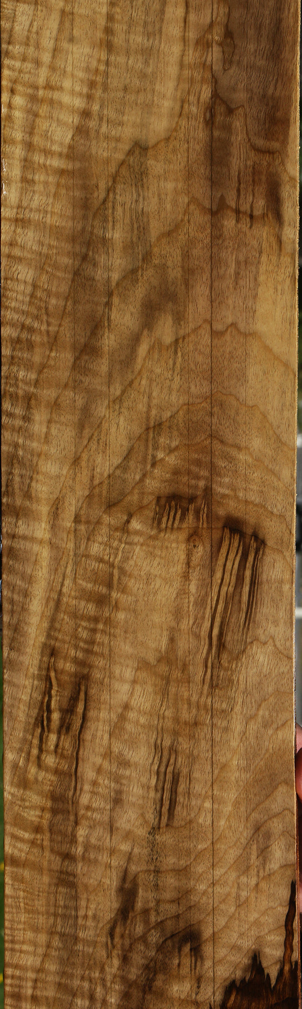 Extra Fancy Myrtle Lumber