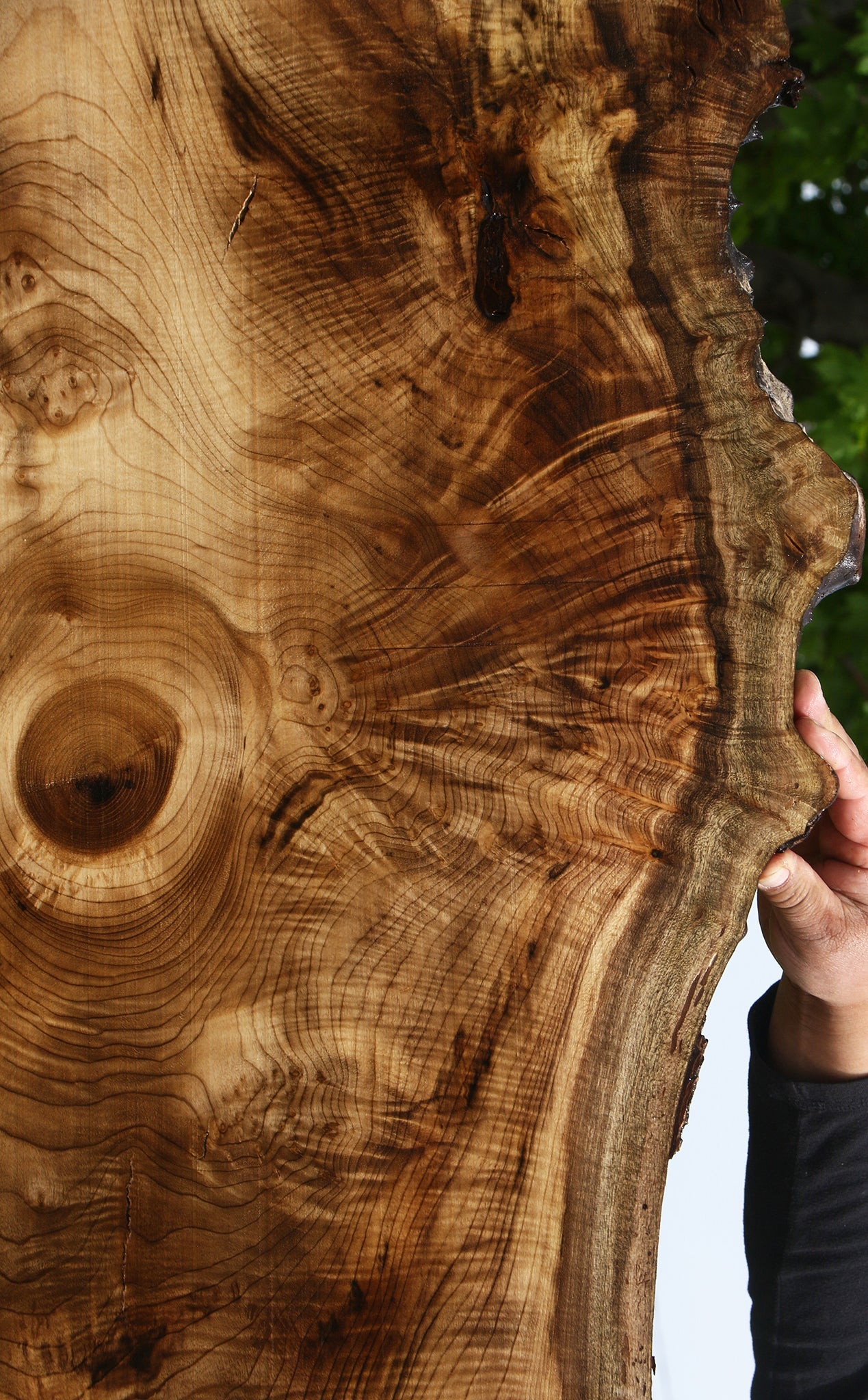 Extra Fancy Myrtle Live Edge Lumber