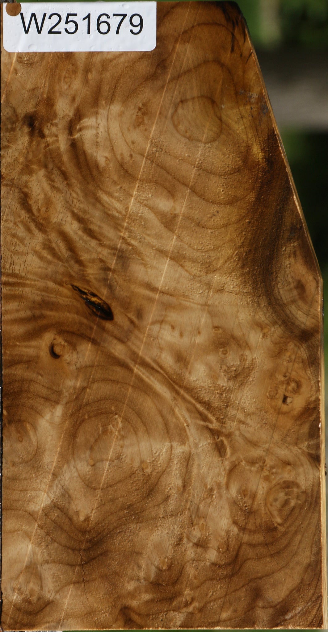 Myrtle Burl Lumber
