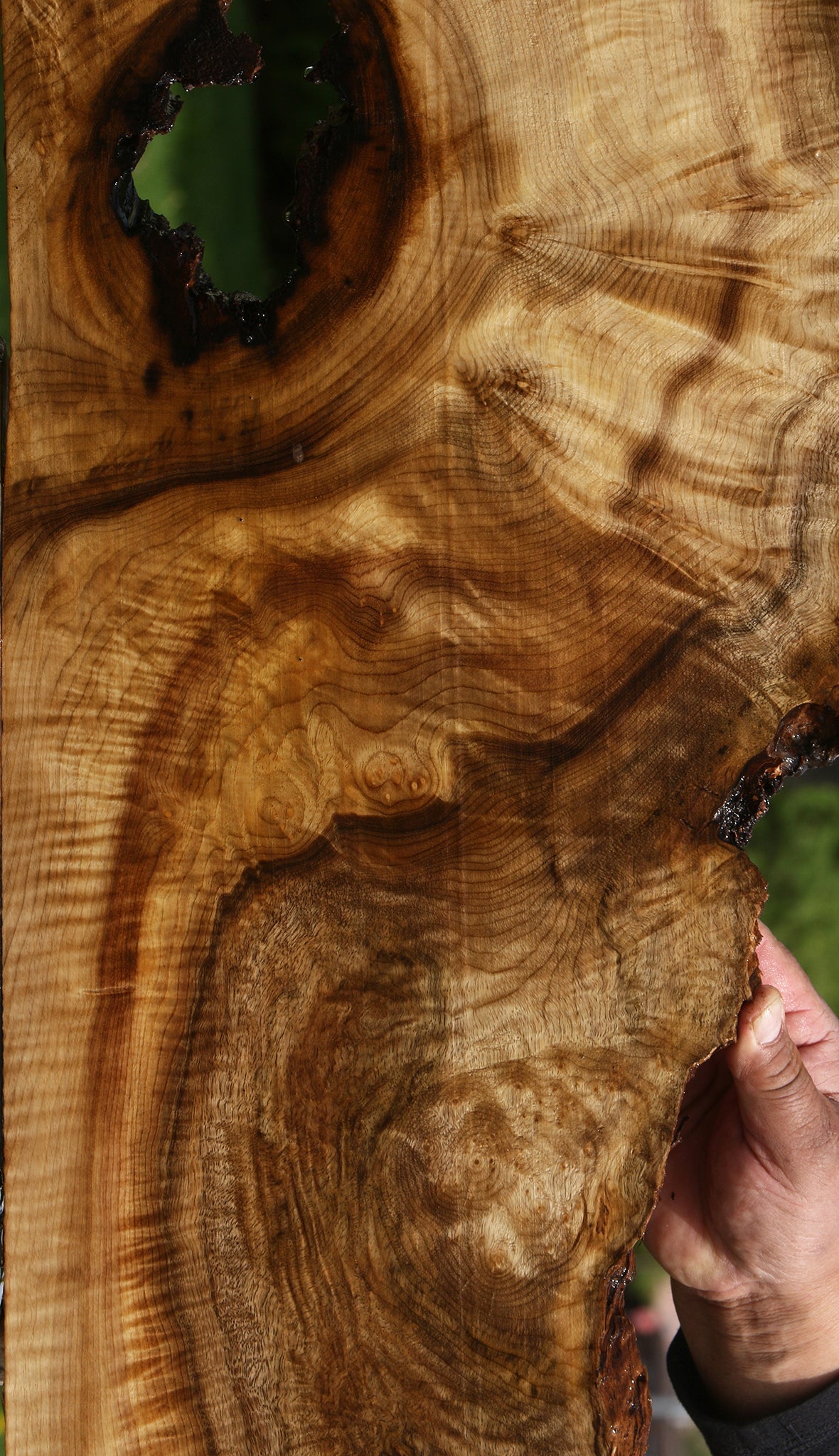 Extra Fancy Myrtle Burl Live Edge Lumber