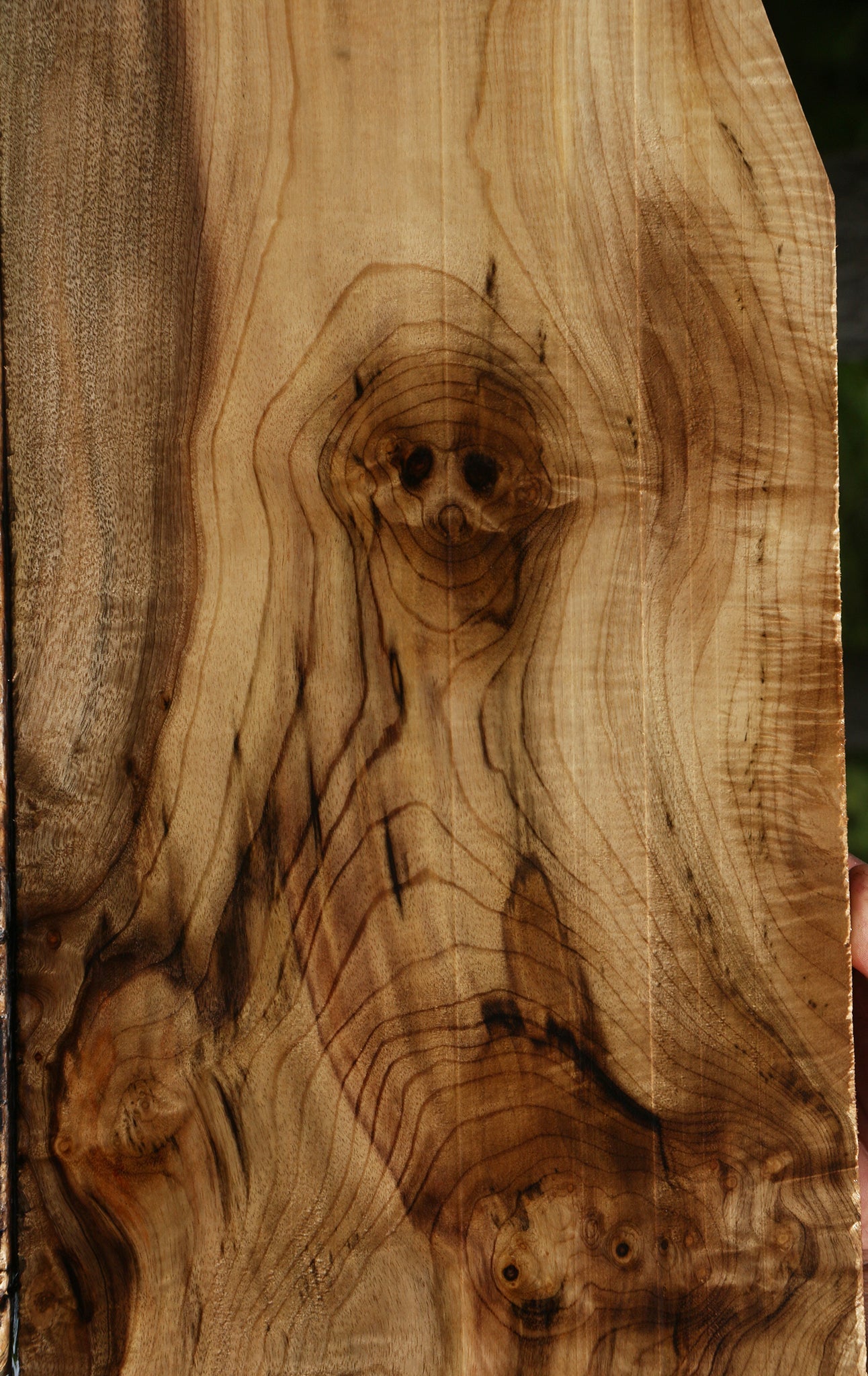 Extra Fancy Myrtle Instrument Lumber