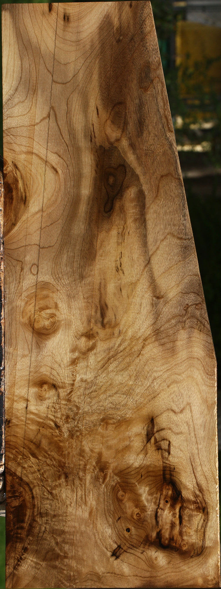 Extra Fancy Myrtle Lumber