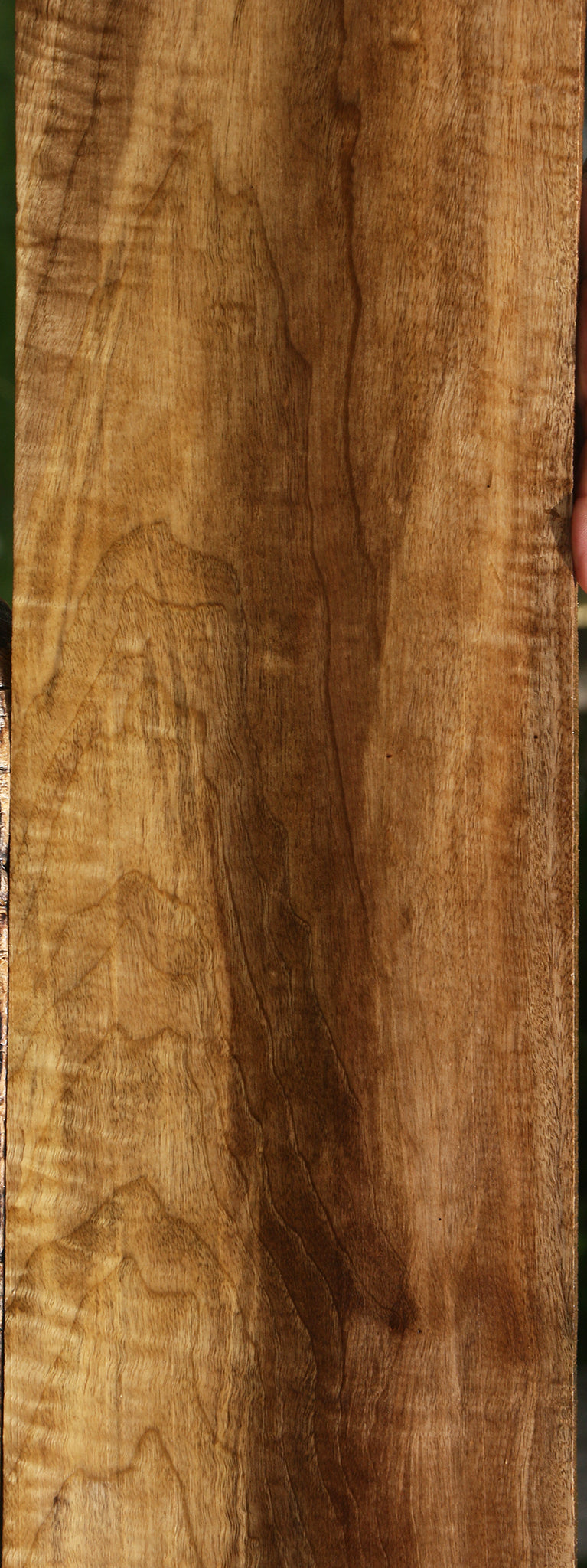 Extra Fancy Myrtle Lumber