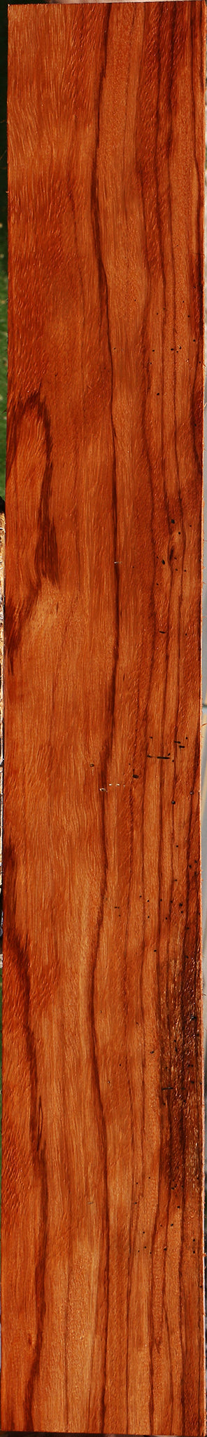 Ebiara Lumber