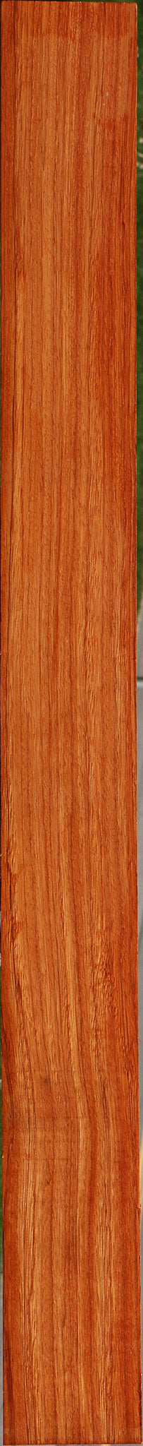 Ebiara Lumber