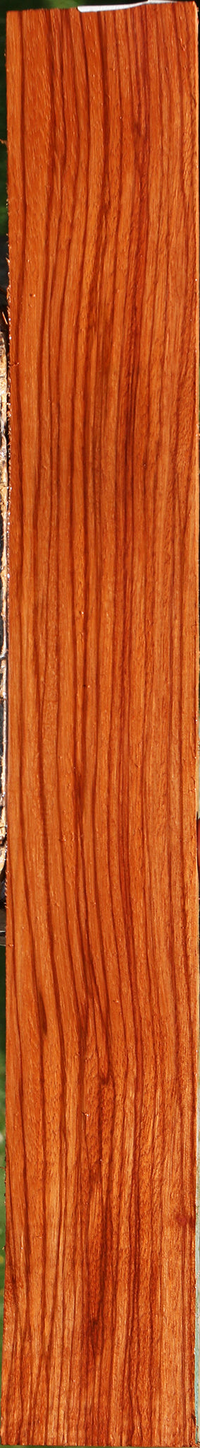 Ebiara Lumber