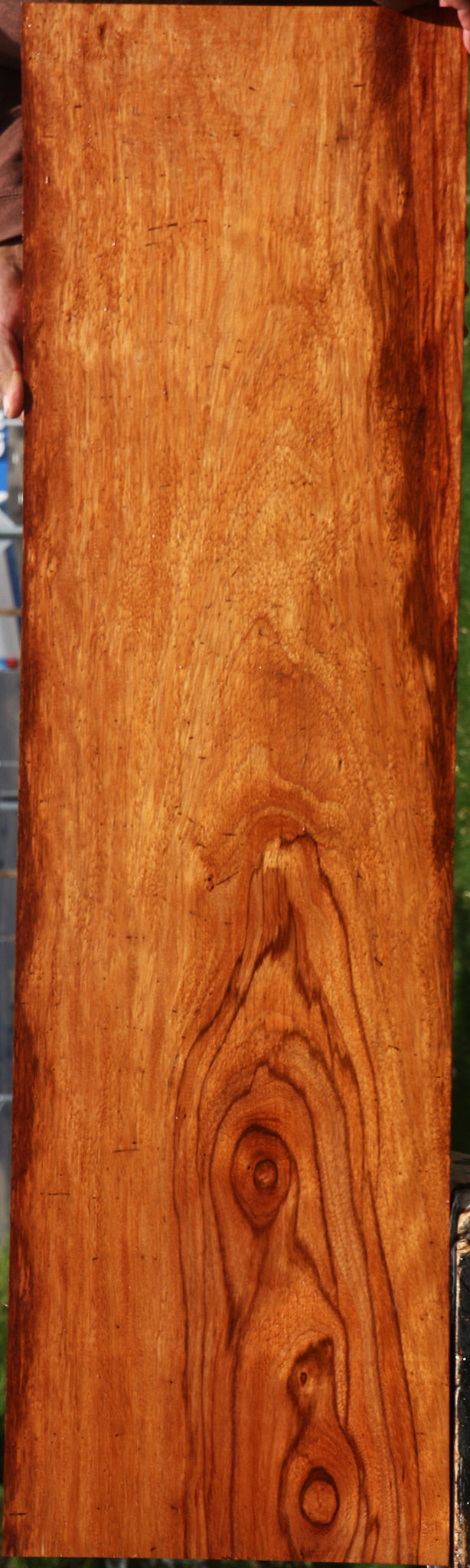 Ebiara Lumber