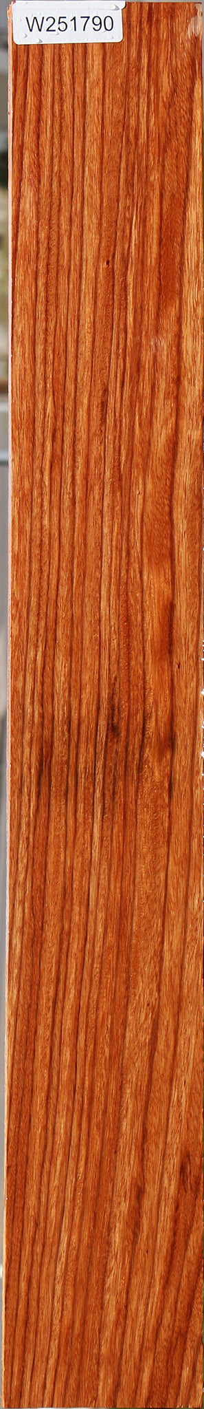 Ebiara Lumber