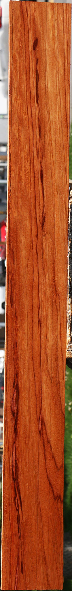 Ebiara Lumber