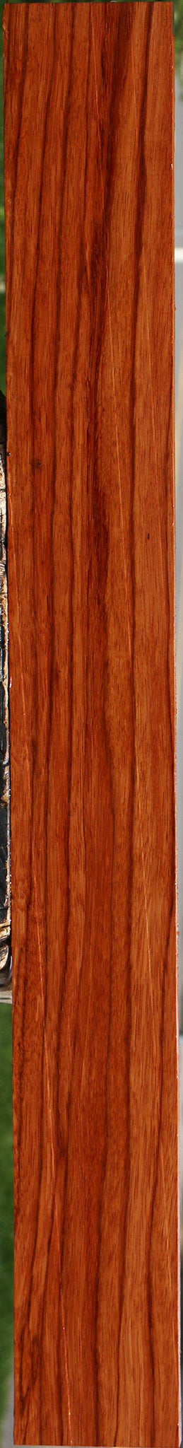 Ebiara Lumber