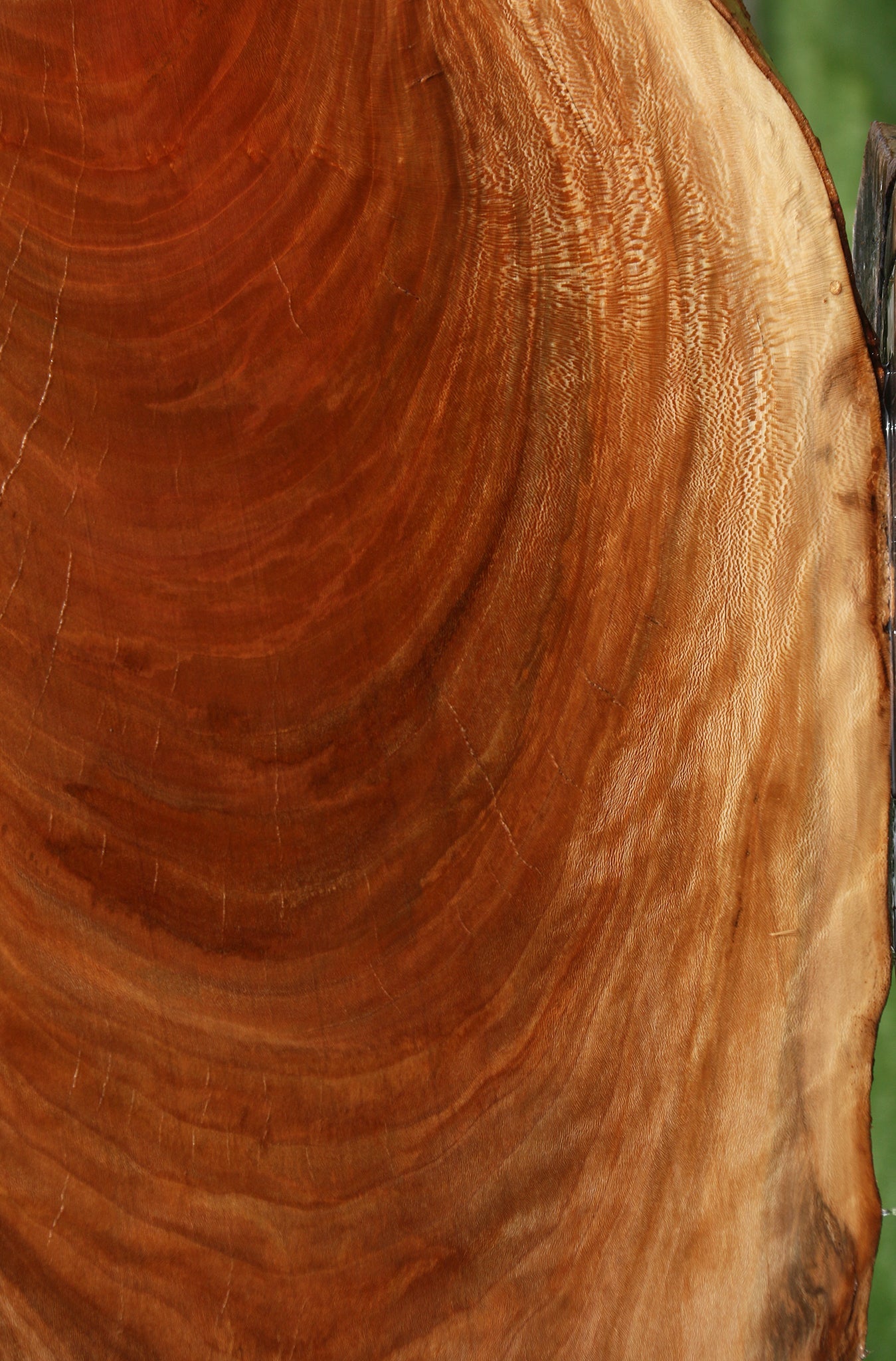 Sycamore Live Edge Mini Slab
