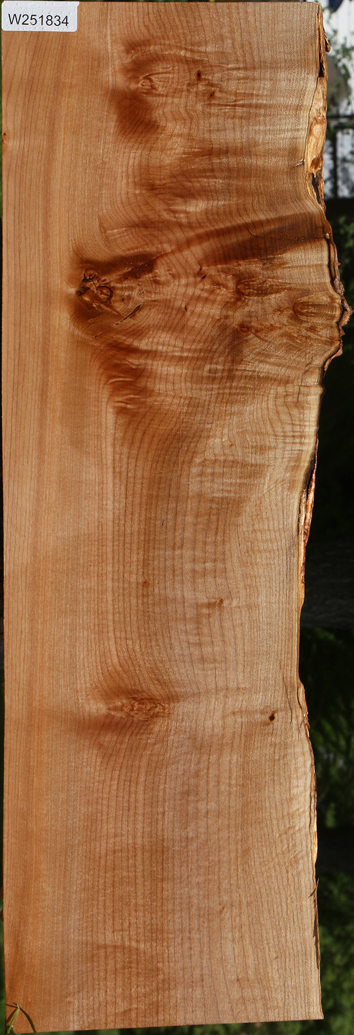 Extra Fancy Maple Live Edge Mini Slab