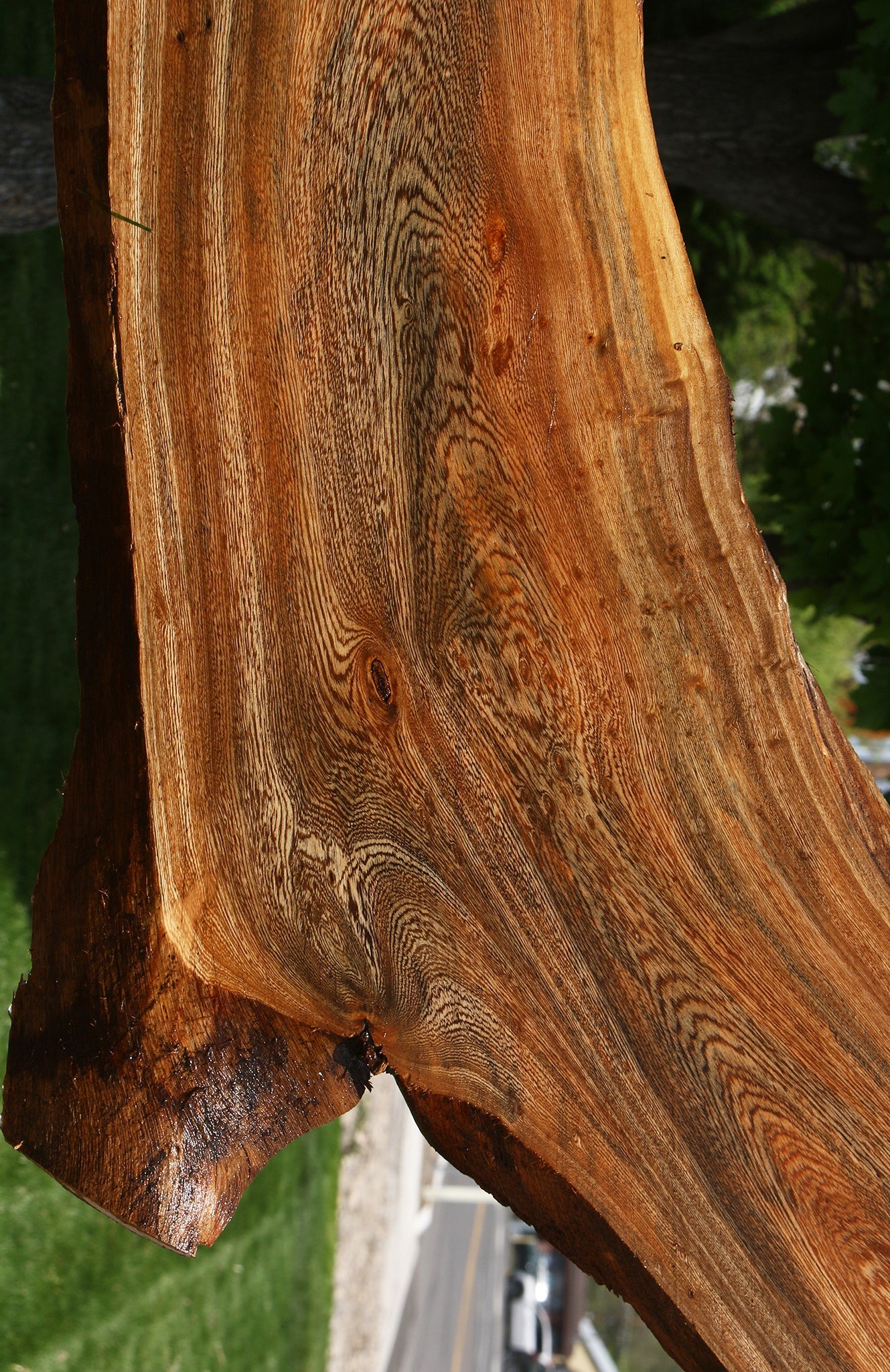 Hackberry Live Edge Slab