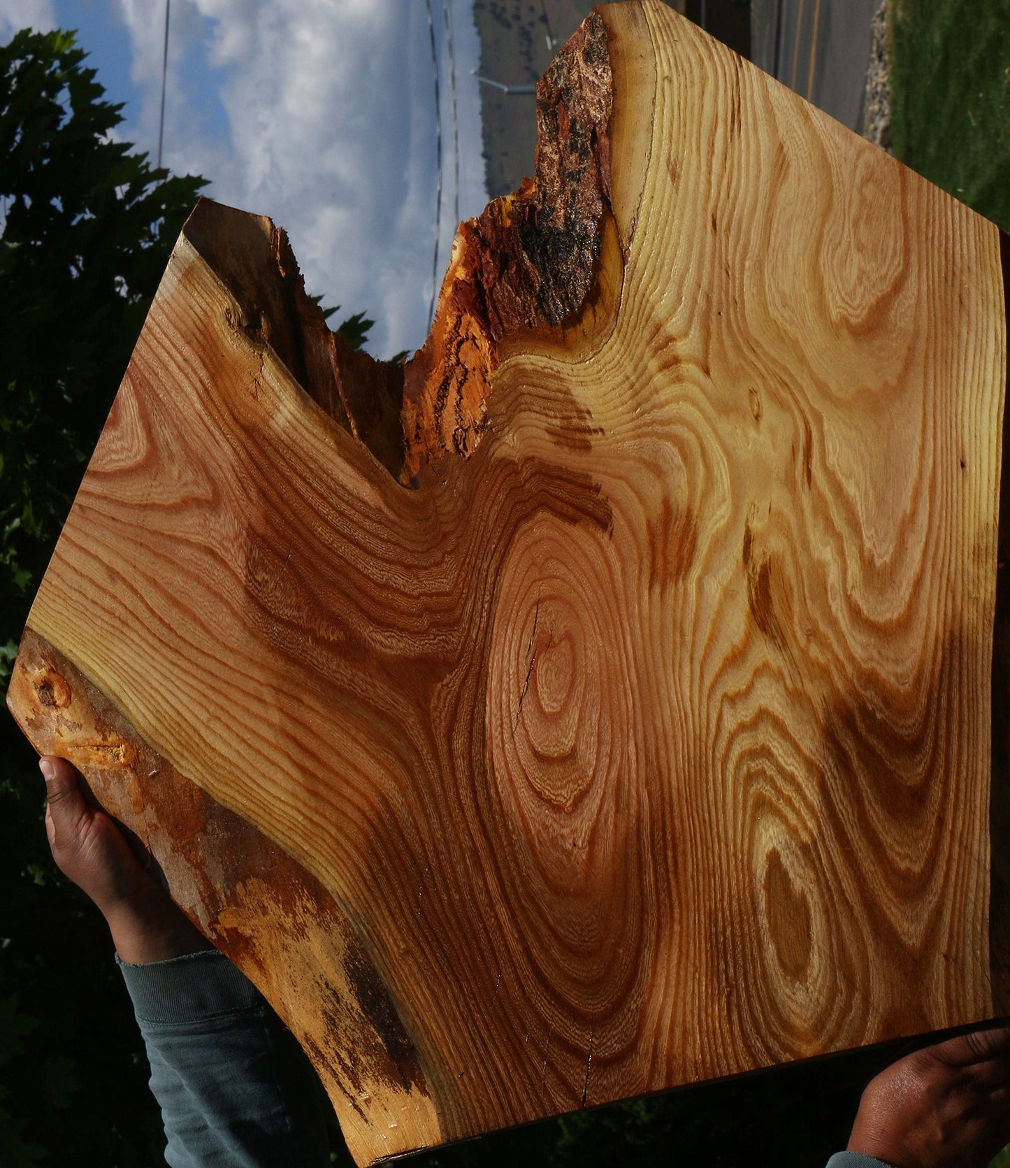 Hackberry Live Edge Mini Slab