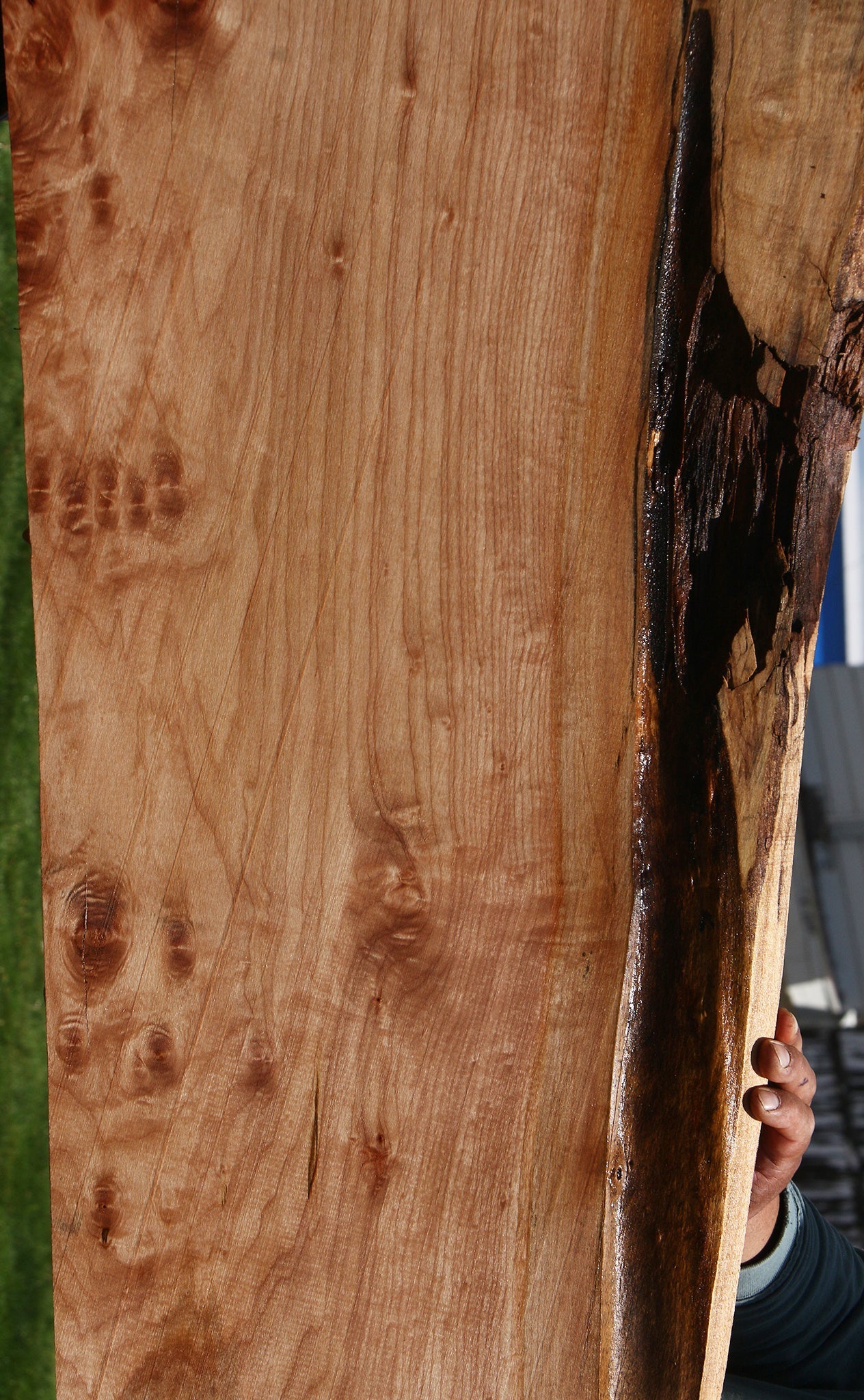 Figured Maple Live Edge Slab