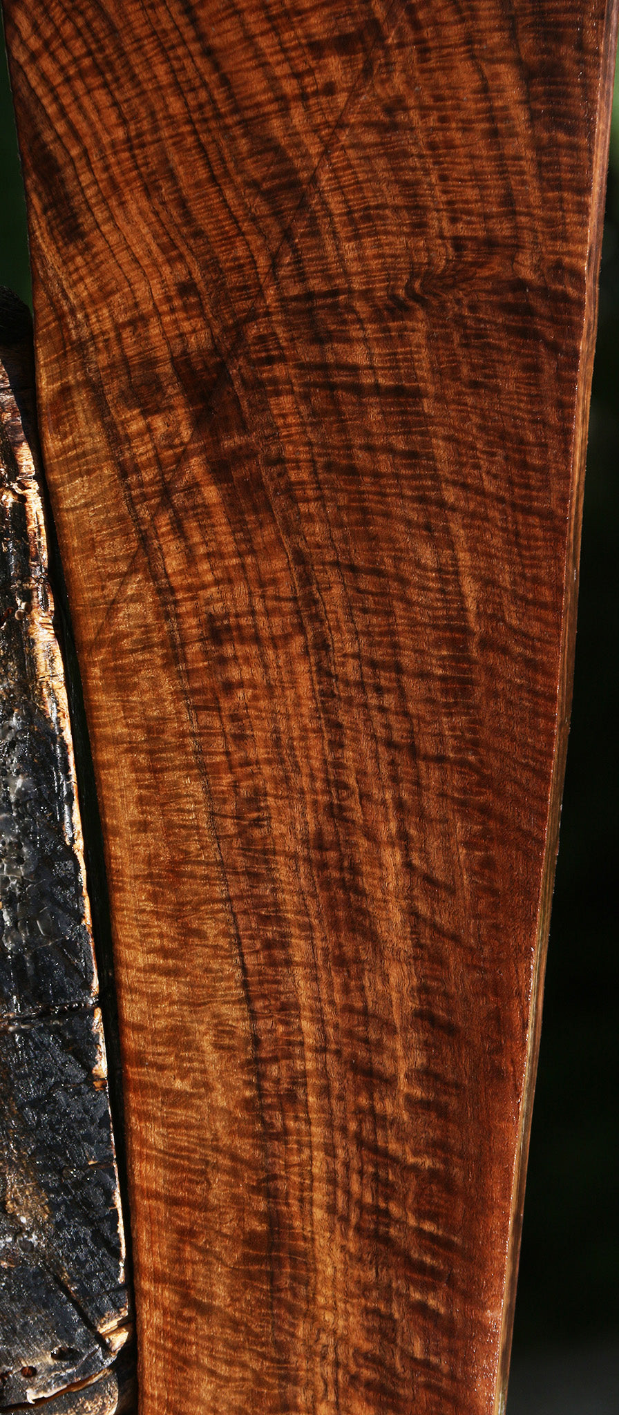 AAA Claro Walnut Gun Blank