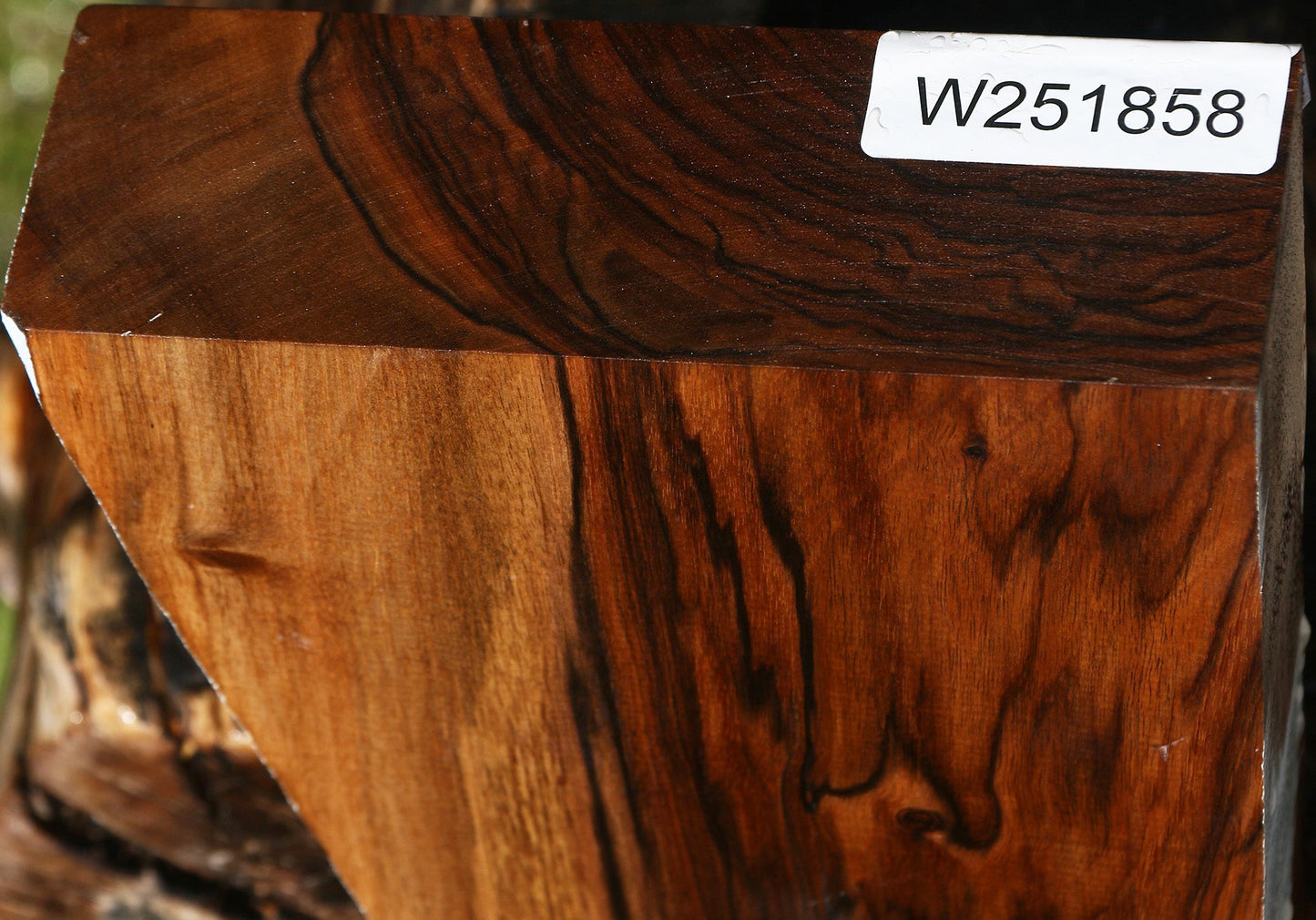 Exhibition English Walnut Gun Blank