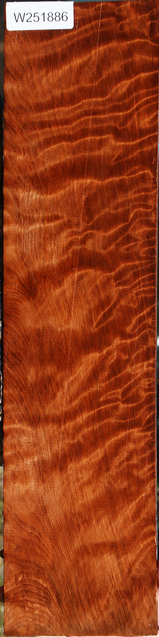 Extra Fancy Curly Redwood Micro Lumber