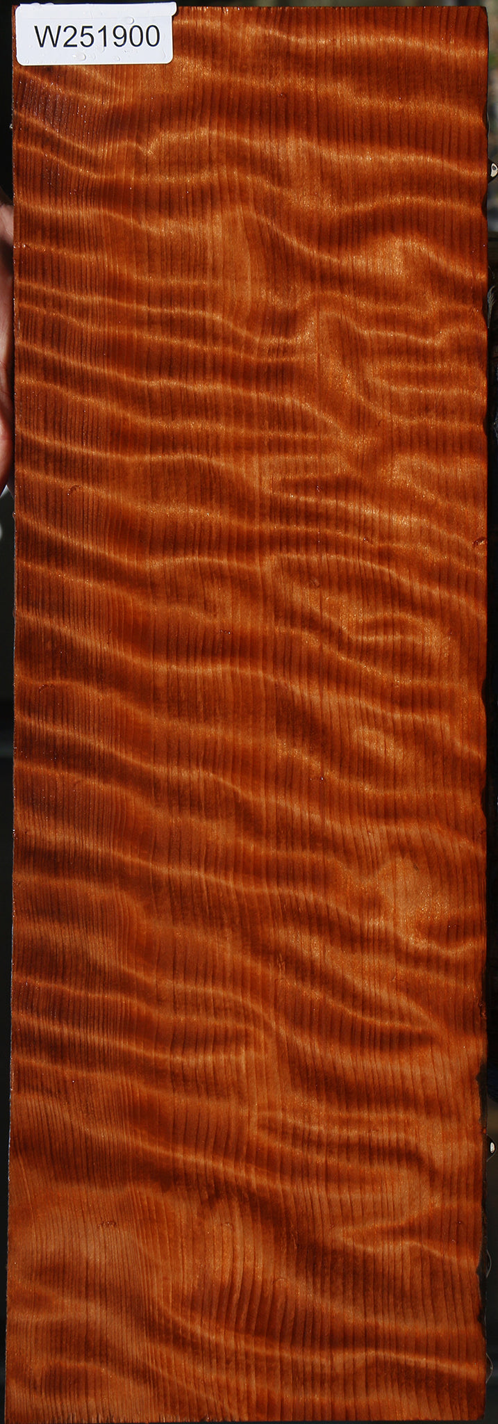 Extra Fancy Curly Quartersawn Redwood Instrument Lumber