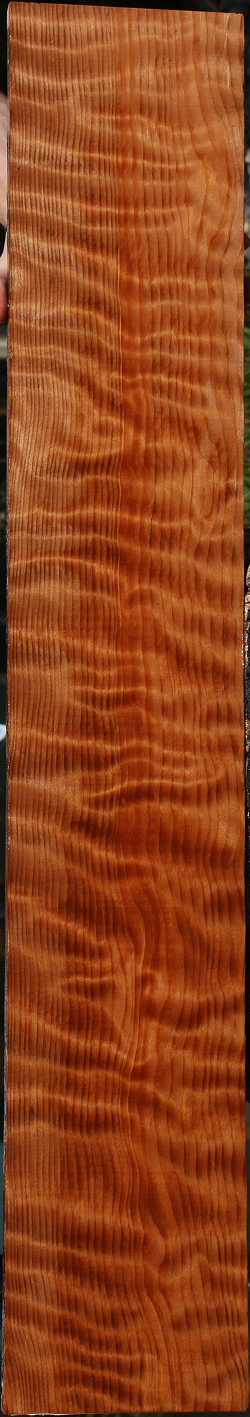 Extra Fancy Curly Redwood Lumber
