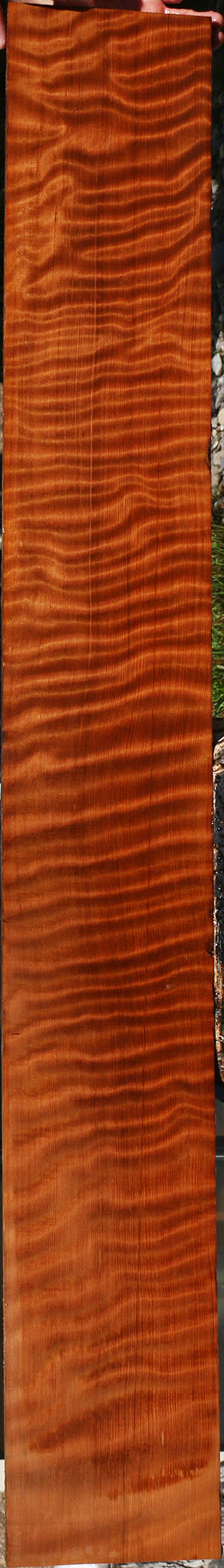 Extra Fancy Curly Redwood Instrument Lumber