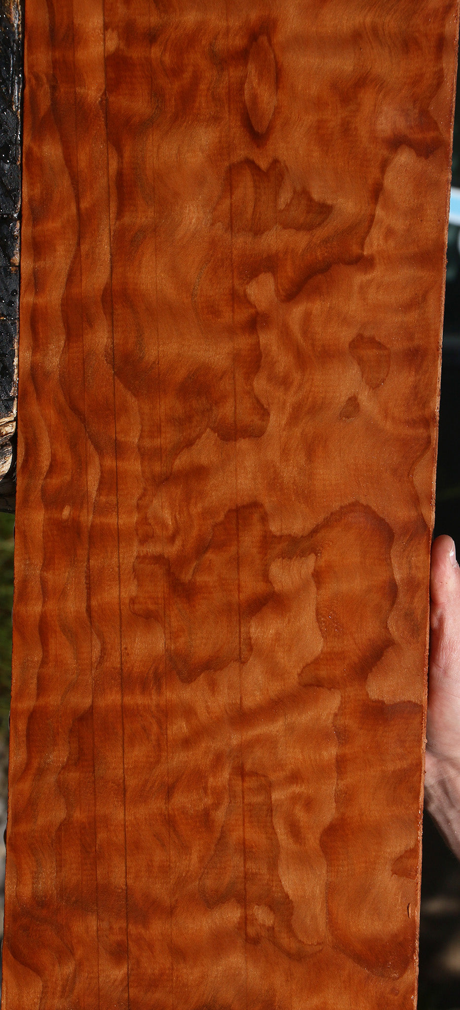 Extra Fancy Curly Redwood Lumber