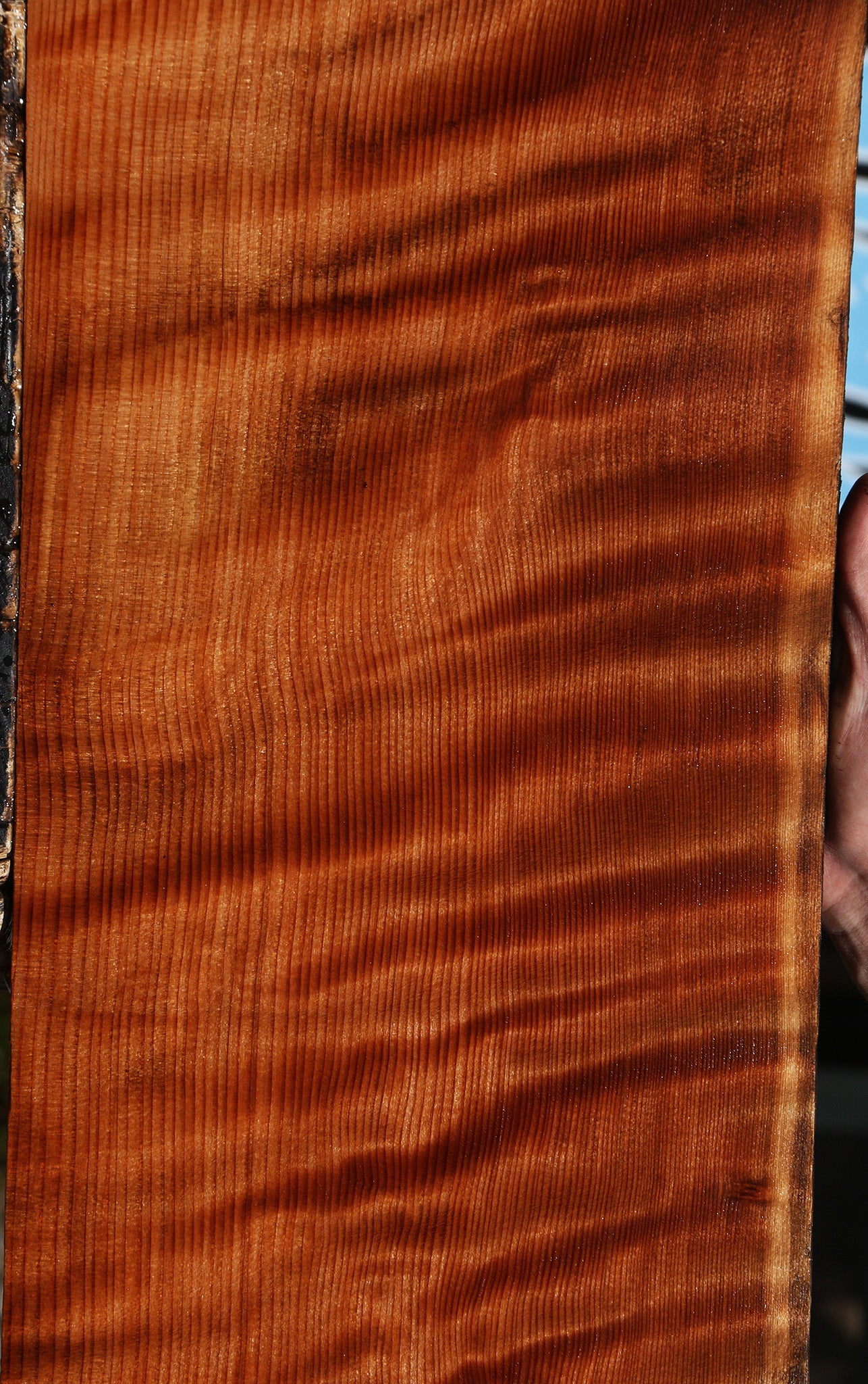 Extra Fancy Curly Quartersawn Redwood Lumber