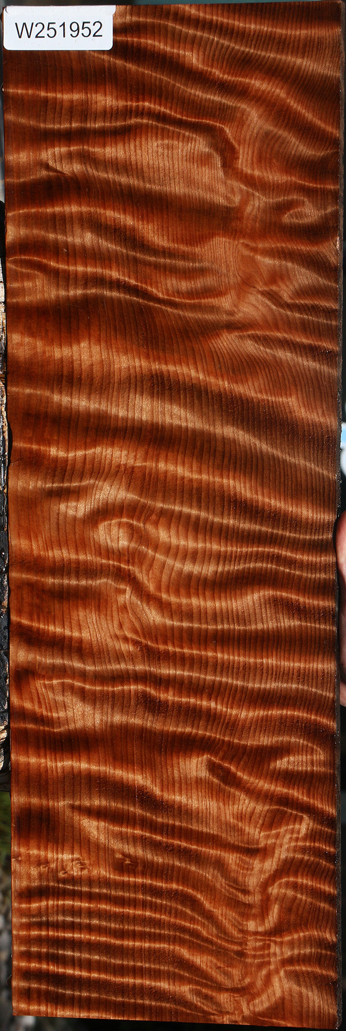 Extra Fancy Curly Quartersawn Redwood Micro Lumber