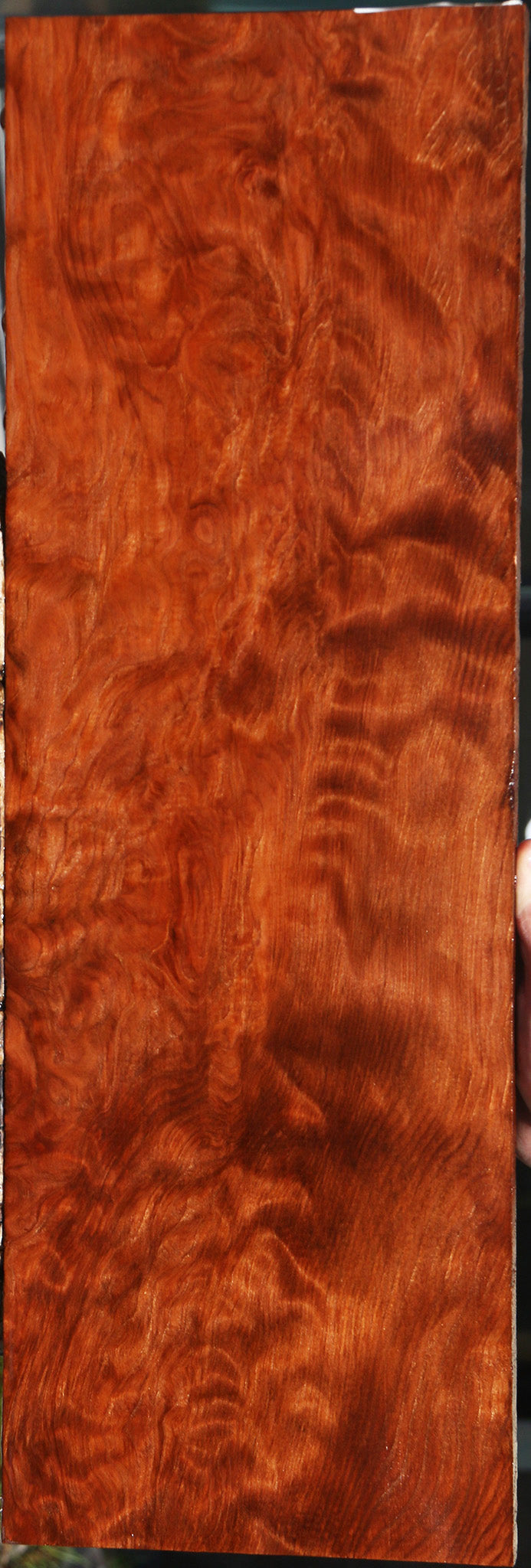 Extra Fancy Curly Redwood Instrument Lumber