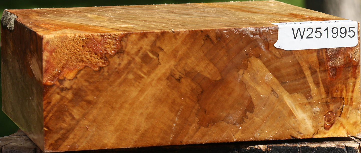 Figured California Cottonwood Bowl Blank