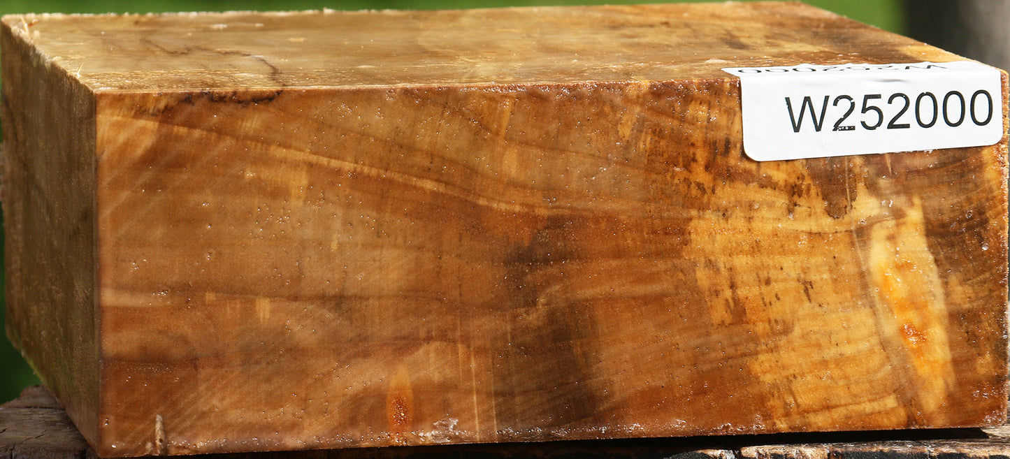 California Cottonwood Bowl Blank
