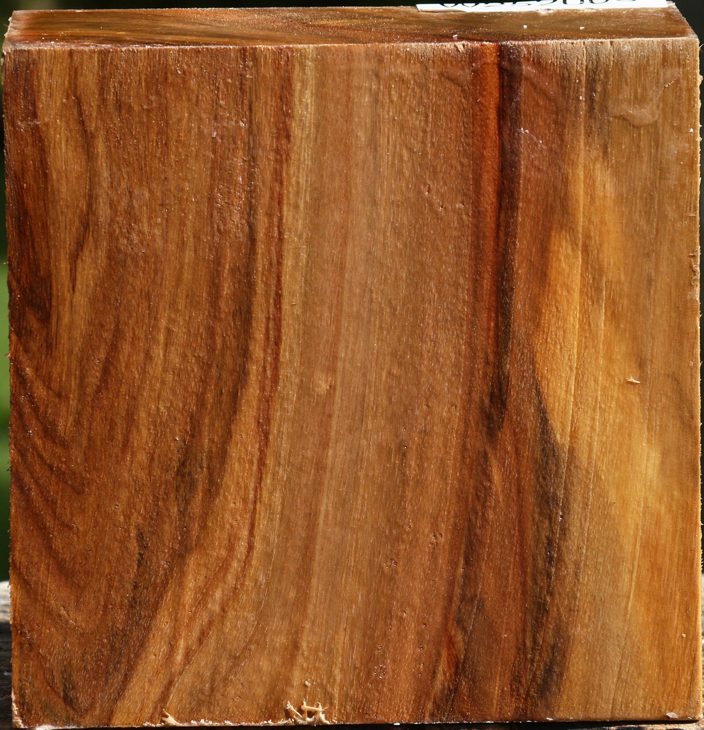 Figured California Cottonwood Bowl Blank