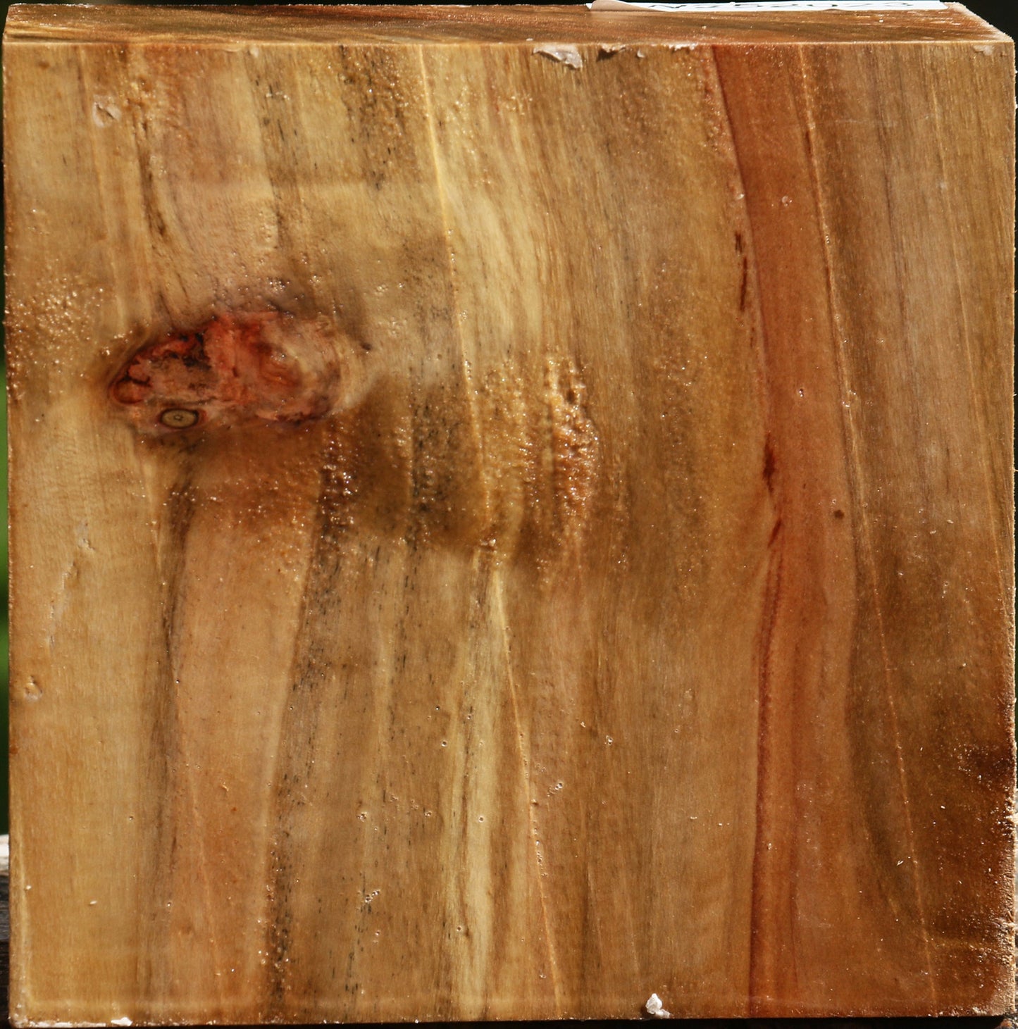 California Cottonwood Bowl Blank
