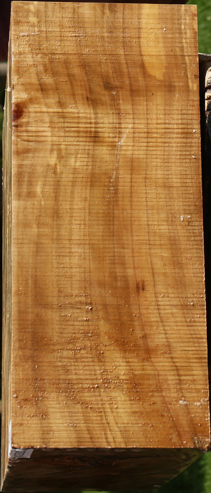California Cottonwood Bowl Blank
