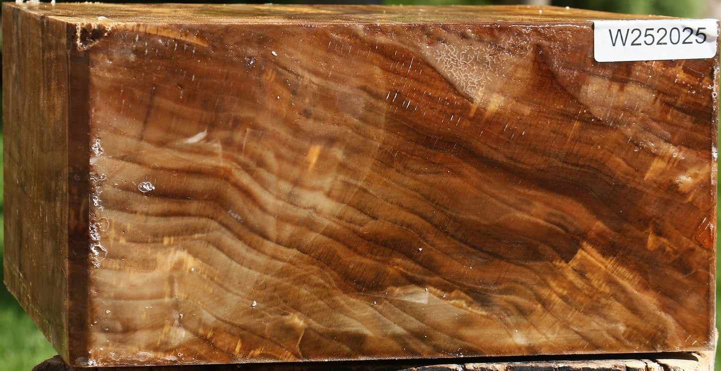 Figured California Cottonwood Bowl Blank