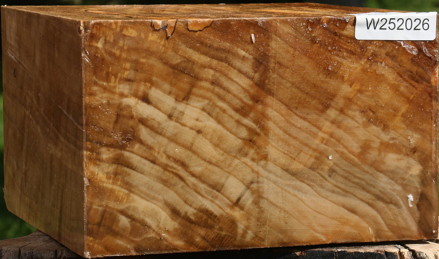 Figured California Cottonwood Bowl Blank