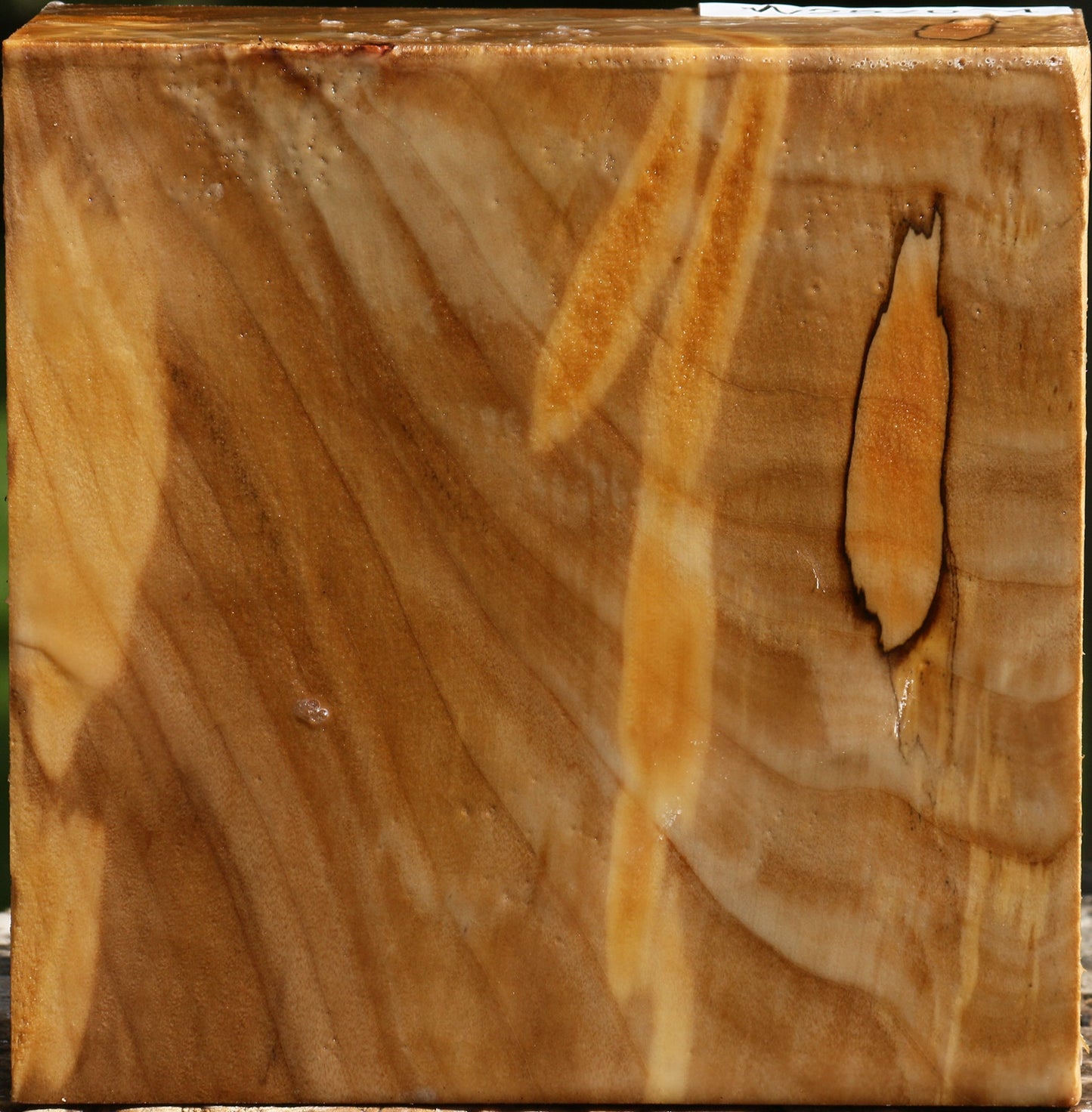Figured California Cottonwood Bowl Blank