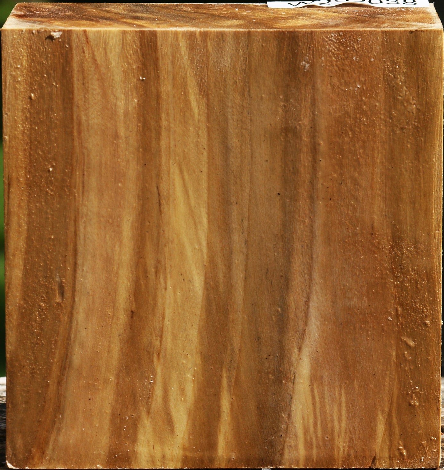 California Cottonwood Bowl Blank