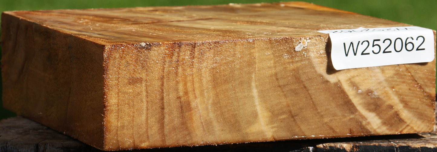 California Cottonwood Bowl Blank