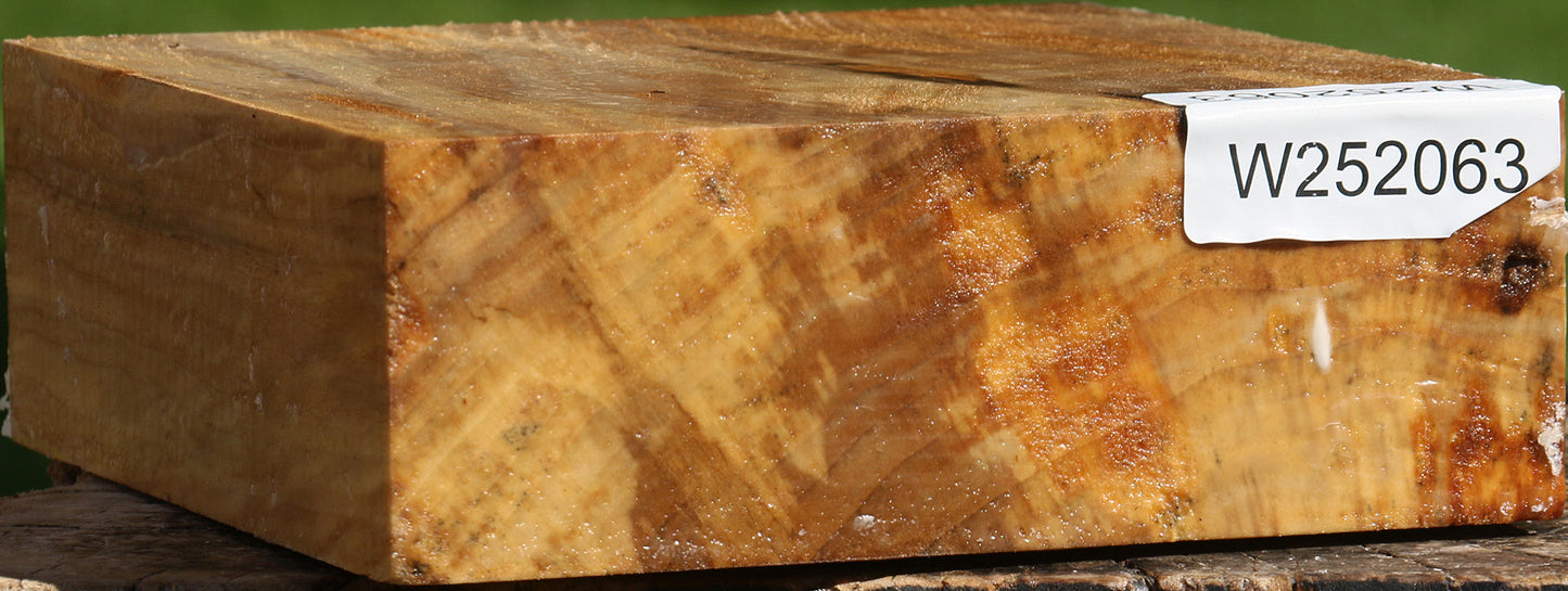Figured California Cottonwood Bowl Blank