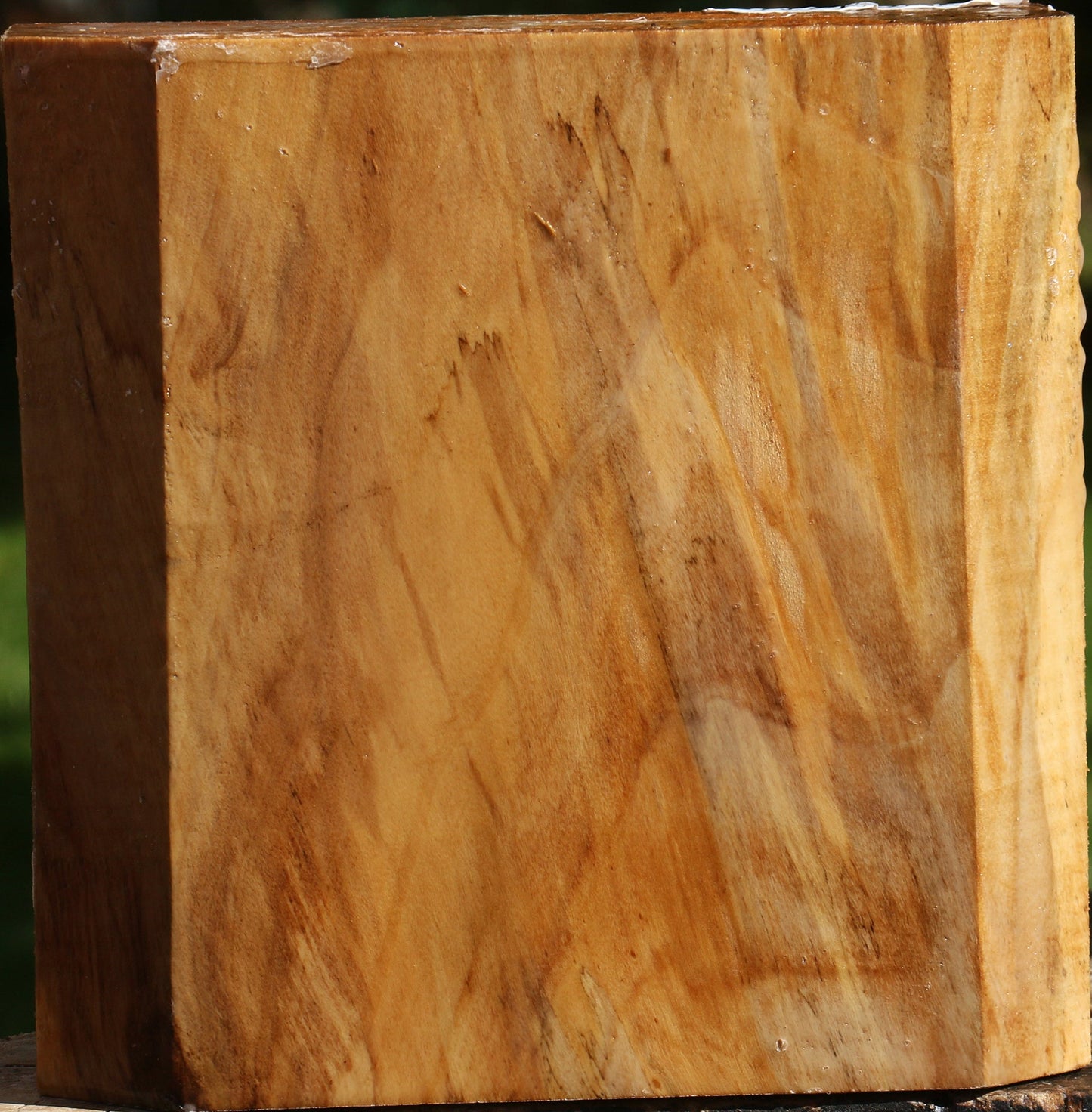 California Cottonwood Bowl Blank