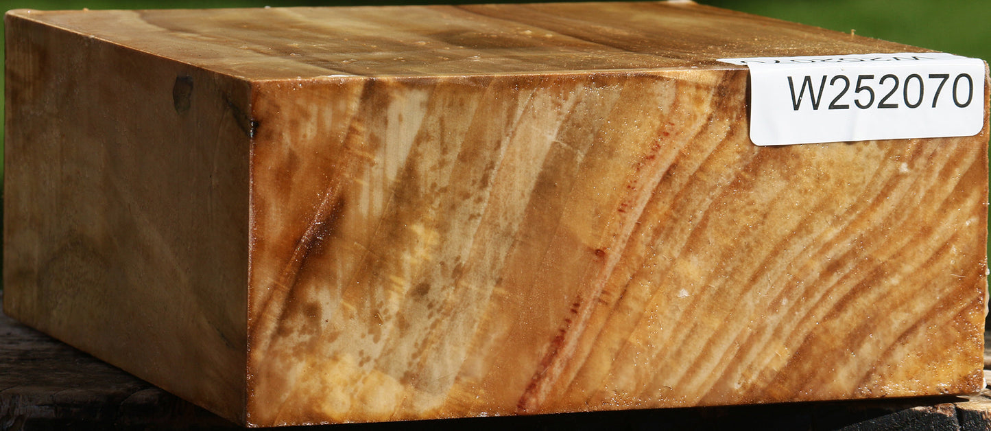 California Cottonwood Bowl Blank