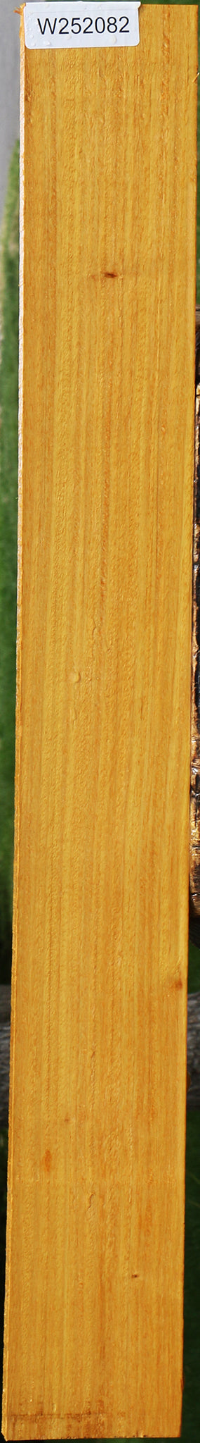 Argentine Osage Orange Lumber