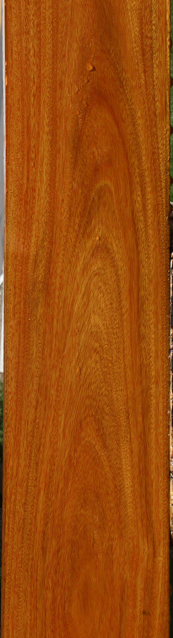 Argentine Osage Orange Lumber